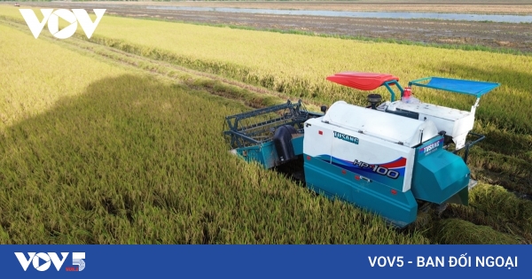 One million hectare high-quality, low-emission rice production model ...