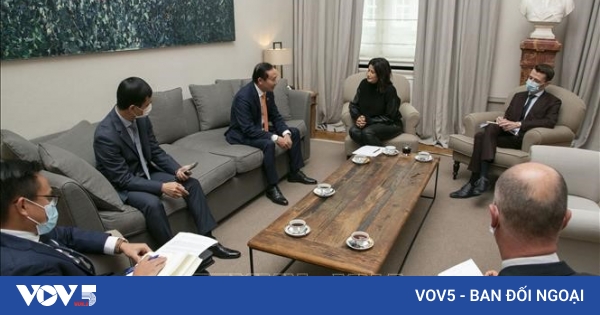 Belgium shares development experience with Vietnam