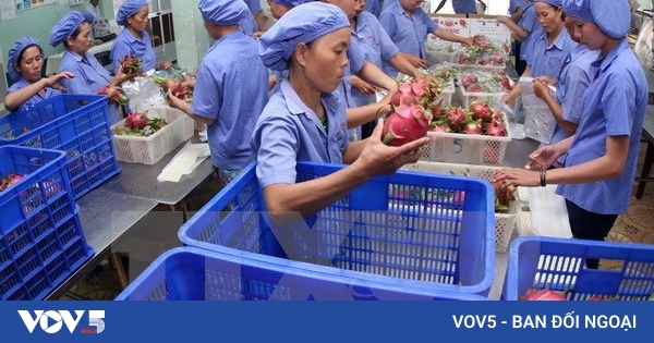 EU remains promising market for Vietnamese fruits