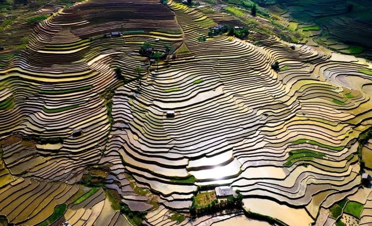 Keindahan Sawah Terasering pada Musim Air Tumpah