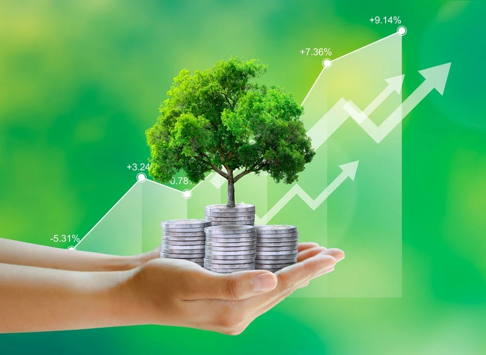 Ekonomi Hijau Menjadi Sorotan Pemikiran Pembangunan Nasional