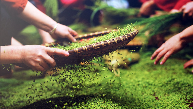 ເຂົ້າເໝົ້າ ເມ້ຈີ່ - ອາຫານທີ່ເປັນເອກະລັກສະເພາະຂອງນະຄອນຫຼວງ ຮ່າໂນ້ຍ