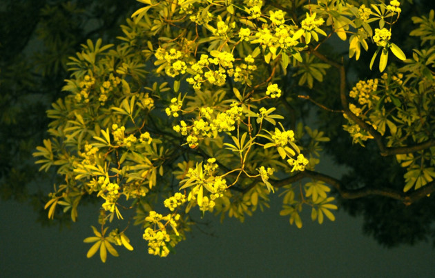 ຄັດສະເໜີບາງຄຳເຫັນ, ເນື້ອໃນຈົດໝາຍ ແລະ ຕອບບາງຄຳຖາມເຊິ່ງທ່ານຜູ້ຟັງໄດ້ຝາກມາລາຍການ