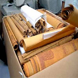 ການອະນຸລັກ ແລະ ພັດທະນະອາຊີບຜະລິດເຈ້ຍສາ