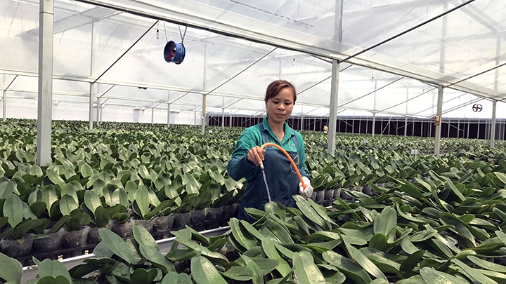 ເພີ່ມ​ທະ​ວີ​ການ​ໝູນ​ໃຊ້​ວິ​ທະ​ຍາ​ສາດ​ເຕັກ​ໂນ​ໂລ​ຊີ​ໃນ​ການ​ພັດ​ທະ​ນາ​ກະ​ສິ​ກຳ