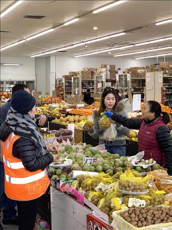 ໝາກລໍາໄຍສົດຂອງຫວຽດນາມ ໄດ້ແນະນໍາຢ່າງເປັນທາງການຢູ່ຕະຫຼາດ ອົດສະຕາລີ