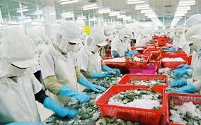 ຍົກສູງຄຸນນະພາບ, ຄຸນຄ່າ, ເຄື່ອງໝາຍຂອງສິນໃນນໍ້າຫວຽດນາມ