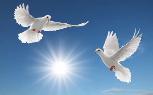 ສານ​ສັນ​ຕິ​ພາບ​ ແລະ ການ​ຮ່ວມ​ມື​ໃຫ້​ແກ່​ປີ 2020 ຂອງ​ບັນ​ດາ​ການ​ນຳ​ໂລກ