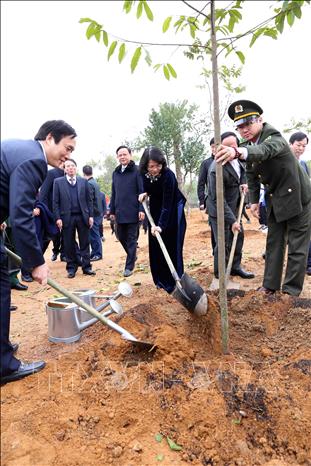 ປຸກລະດົມ​ວັນ​ບຸນ​ປູກ​ຕົ້ນ​ໄມ້ ​ໃນ​ລະດູບານ​ໃໝ່ປີ​ຊວດ 2020 ​ໃນ​ທົ່ວ​ປະ​ເທ​ດ