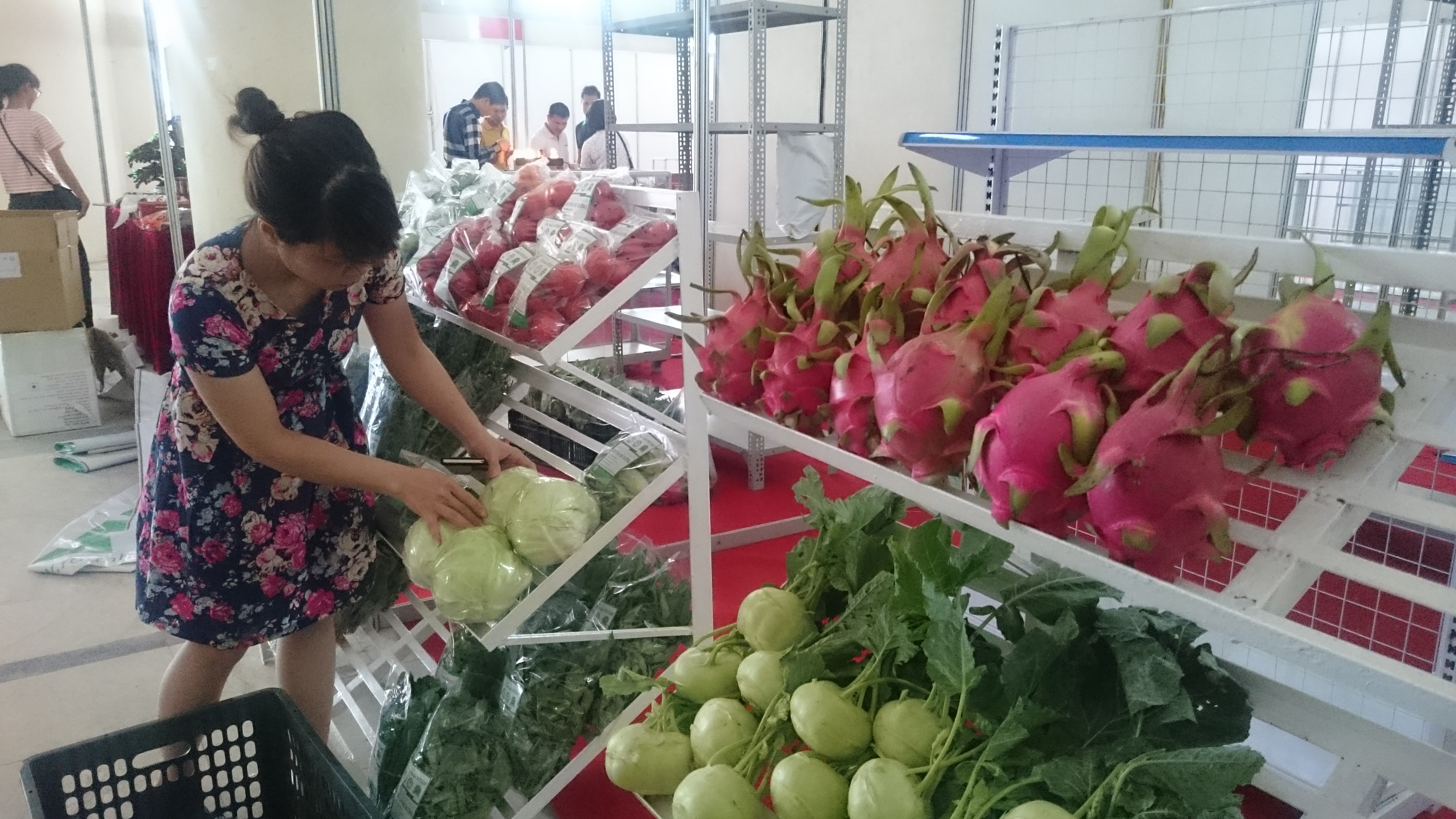 ສັນ​ຍາ EVFTA ກາ​ລະ​ໂອ​ກາດ​ທີ່​ດີ ໃຫ້​ແກ່​ການ​ພັດ​ທະ​ນາ​ຂະ​ແໜງ​ກະ​ສິ​ກຳ