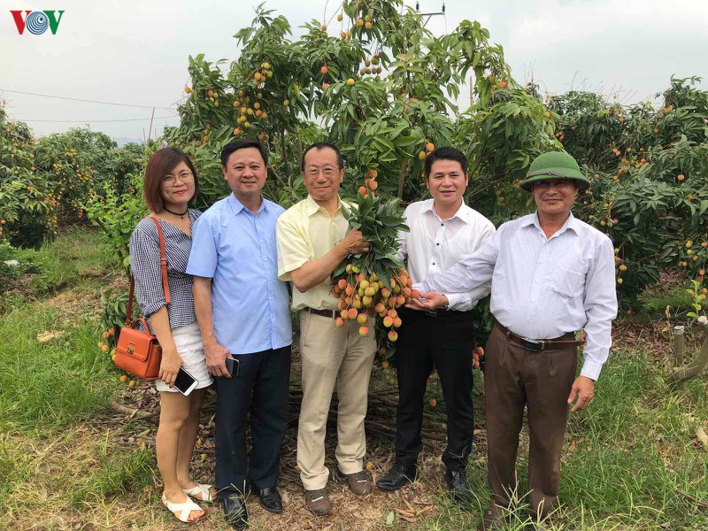 ໝາກ​ລີ້ນ​ຈີ່​ຫວ​ຽດ​ນາມ​​ໄປ​ເຖິງ​ຍີ່​ປຸ່ນ​ແລ້ວ
