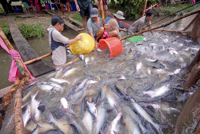 ຮີບຮ້ອນສ້າງກົນໄກນະໂຍບາຍໃຫ້ສົມບູນແບບ ເພື່ອຍາດແຍ່ງໂອກາດຈາກ EVFTA