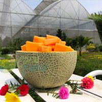 ແຂວງ​ບິ່ງ​ທ້ວນຊອກ​ຫາ​ເສັ້ນທາງ​ສົ່ງ​ອອກຜະລິດ​ຕະພັນ​ກະ​ເສດຂະໜາດ​ໃຫຍ່