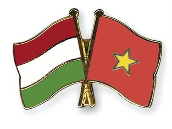ຫວຽດ​ນາມ ນອນ​ໃນ​ນະ​ໂຍ​ບາຍ “ມຸ່ງ​ໄປ​ສູ​ທາງ​ທິດ​ຕາ​ເວັນ​ອອກ” ຂ​ອງ ຮຸງ​ກາ​ຣີ