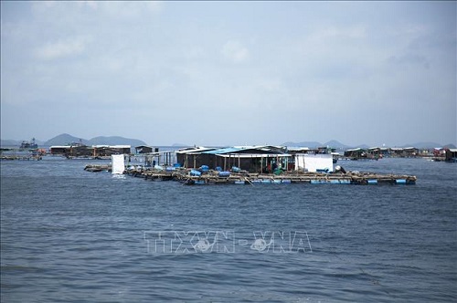 ສະມາ​ຄົມ​ລ້ຽງ​ສິນ​​ໃນ​ນ້ຳ ຫວຽດ​ນາມ: ເຕົ້າ​ໂຮມ​ກຳ​ລັງ​ແຮງ​ຫຼາຍ​ຂະ​ແໜງເພື່ອ​ພັດ​ທະ​ນາ​ເສດ​ຖະ​ກິດ​ທາງ​ທະ​ເລ