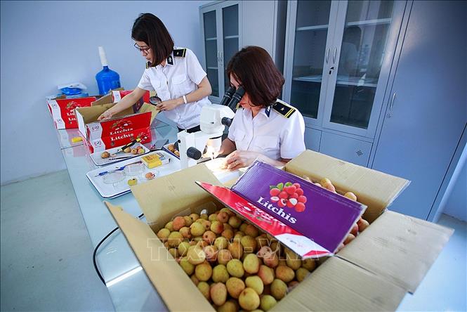 ຫວຽດ​ນາມ​ແມ່ນ​ຄູ່​ຮ່ວມ​ມື​ເສດ​ຖະ​ກິດ​ທີ່​ສົມ​ບູນ​ແບບຂອງ ອົດ​ສະ​ຕາ​ລີ