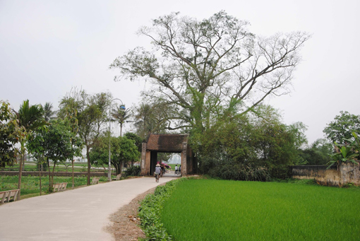 ສະເຫຼີມ​ສະຫຼອງ 15 ປີ ໝູ່​ບ້ານ​ເກົ່າ​ແກ່​ເດື່ອງ​ເລິມ ໄດ້​ຮັບ​ການ​ຮັບ​ຮອງວ່າ​ເປັນ​ມໍ​ລະ​ດົກ​ລະ​ດັບ​ຊາດ