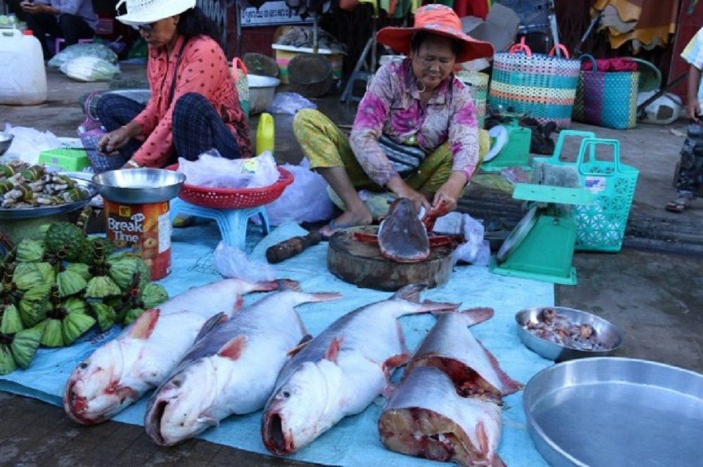 ກະ​ຊວງ​ກະ​ສິ​ກຳ ກຳ​ປູ​ເຈຍ ຍົກ​ເລີກ​ຄຳ​ສັ່ງ​ຫ້າມ​ນຳ​ເຂົ້າ​ປາ​ຈາກ ຫວຽດ​ນາມ