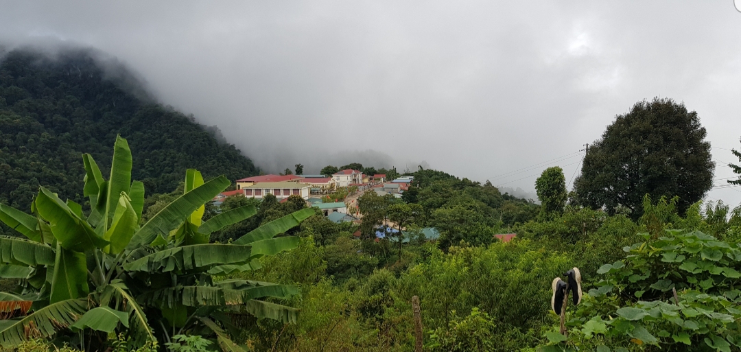 ວົງ​ຕະ​ກຸນ ວ່າງ ຄຸ້ມ​ຄອງ​ດ້ວຍ​ຕົນ​ເອງ​ຢູ່​ຕາ​ແສງ ຕາ​ຕົ໋ງ ແຂວງ​ລາຍ​ເຈົາ
