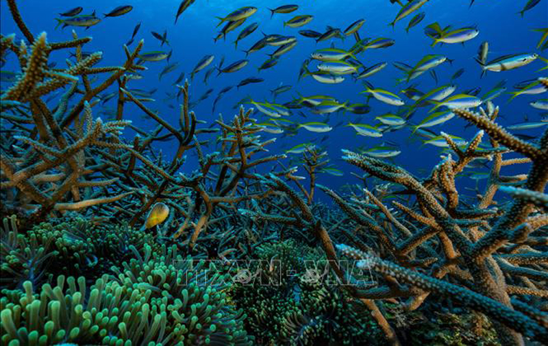 ສ​ປ​ຊ ຮັບ​ຮອງ​ເອົາ​ເອ​ກະ​ສານ​ກ່ຽວ​ກັບ​ຂໍ້​ຕົກ​ລົງ​ປະ​ຫ​ວັດ​ສາດ ປົກ​ປັກ​ຮັກ​ສາ ມະ​ຫາ​ສະ​ໝຸດ