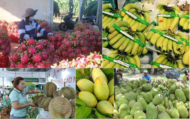 ອາ​ເມ​ລິ​ກາ ນຳ​ໜ້າ​ໃນ​ຕ​ະຫຼາດ​ນຳ​ເຂົ້າຜະ​ລິດ​ຕະ​ພັນ​ກະ​ເສດ, ​ເຄື່ອງ​ປ່າ​ຂ​ອງ​ດົງ, ສິນ​ໃນ​ນ້ຳ​ຂອງ ຫວຽດ​ນາມ