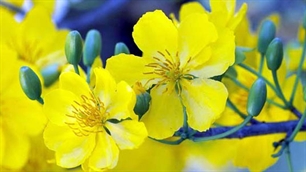 リスナーとともにおしゃべりタイム