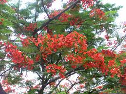 リスナーとともにおしゃべりタイム