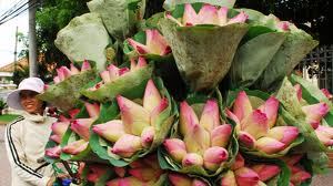 7月26日のおしゃべりタイム