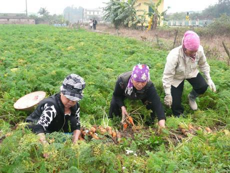 貧困者向けのマイクロ融資スプログラム