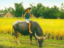 ベトナムの故郷をたたえる歌