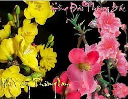 ベトナムの正月ムードを描いた歌