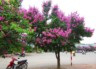 5月9日のおしゃべりタイム