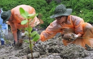 日越両国の学生、共同植林