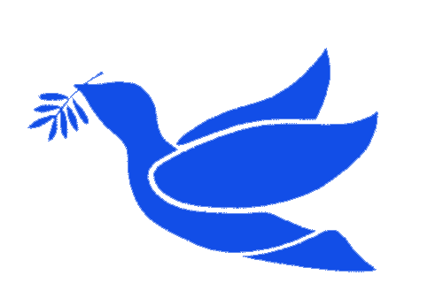 人権盛り込む新憲法