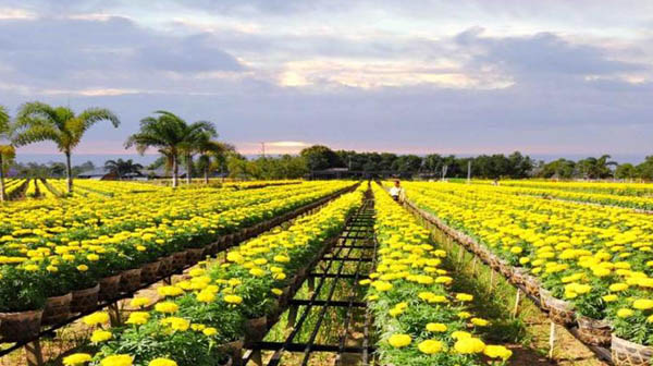 5月8日のおしゃべりタイム