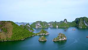 ベトナム漁民が故郷で漁獲活動を行っている様子を描いた歌