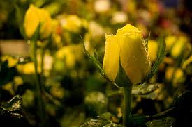 8月７日のおしゃべりタイム