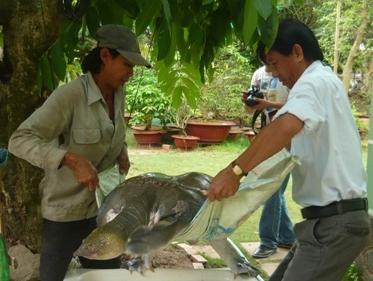 共同生産組合の主任、レ・チョン・カインさん