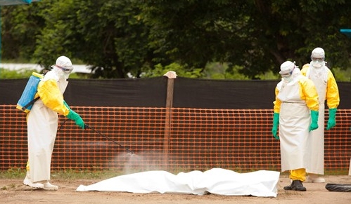 国際社会が進めているエボラ防止対策について