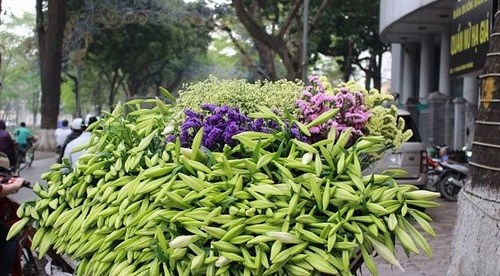 おしゃべりタイム（4月5日）