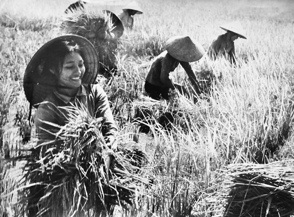 ベトナム国への女性の愛を讃える歌