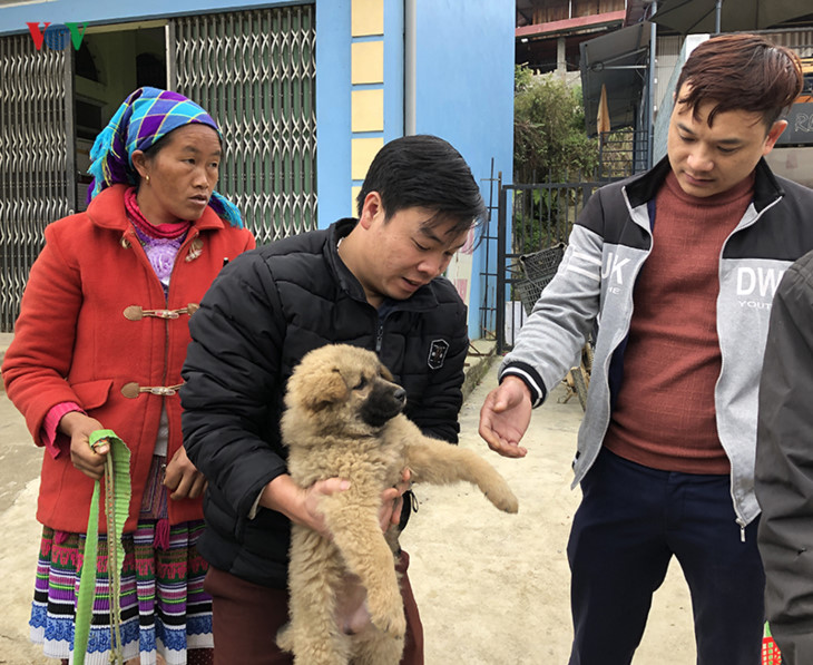 モン族の犬