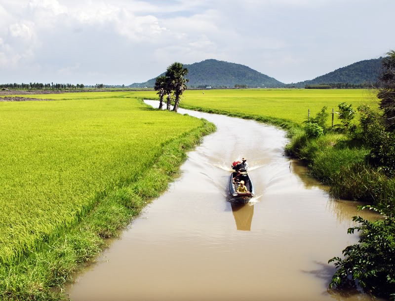 ベトナム南部の民謡特集