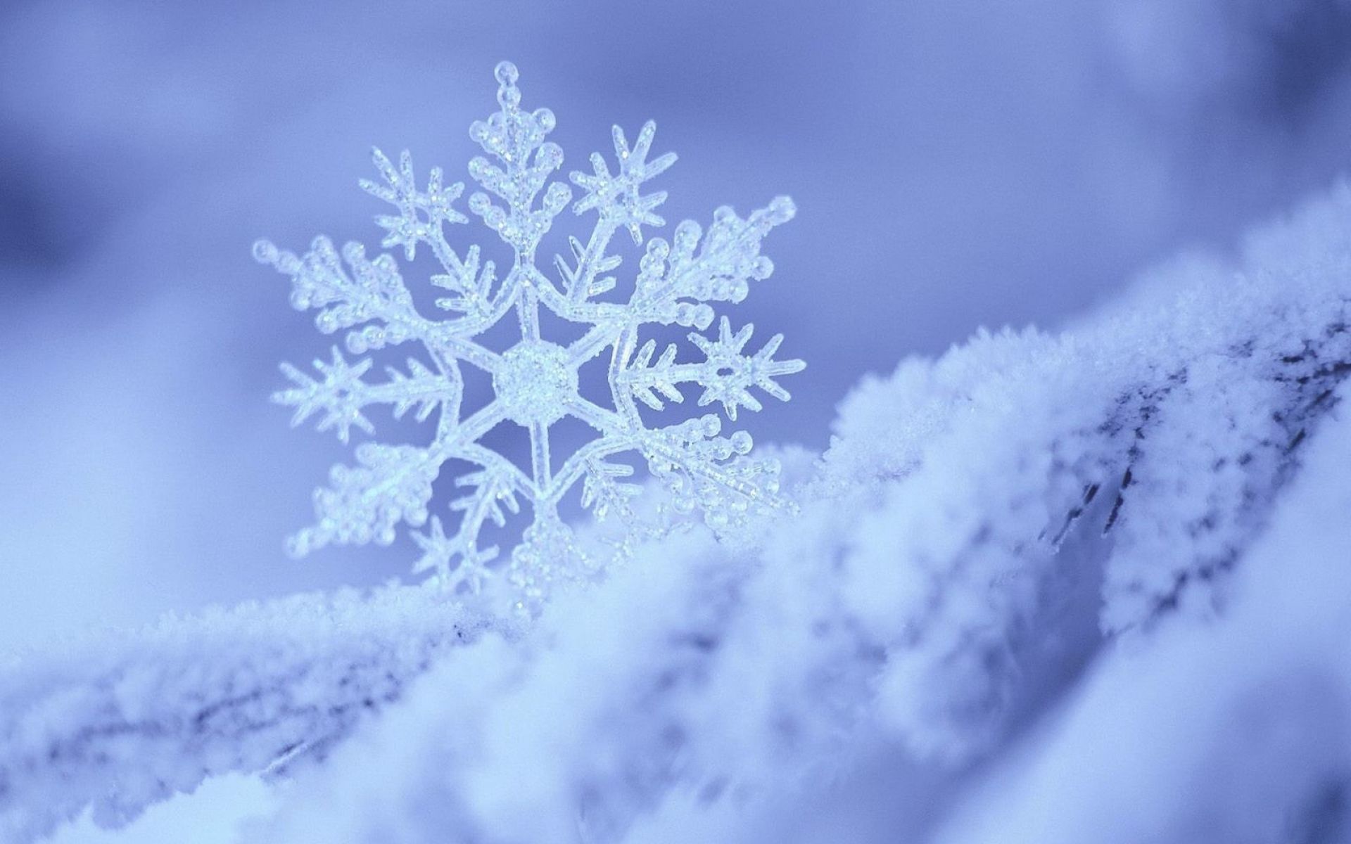 雪にちなんだ曲