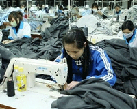 Ekonomi Vietnam mencatat banyak indikasi yang menggembirakan pada bulan Januari 2012.