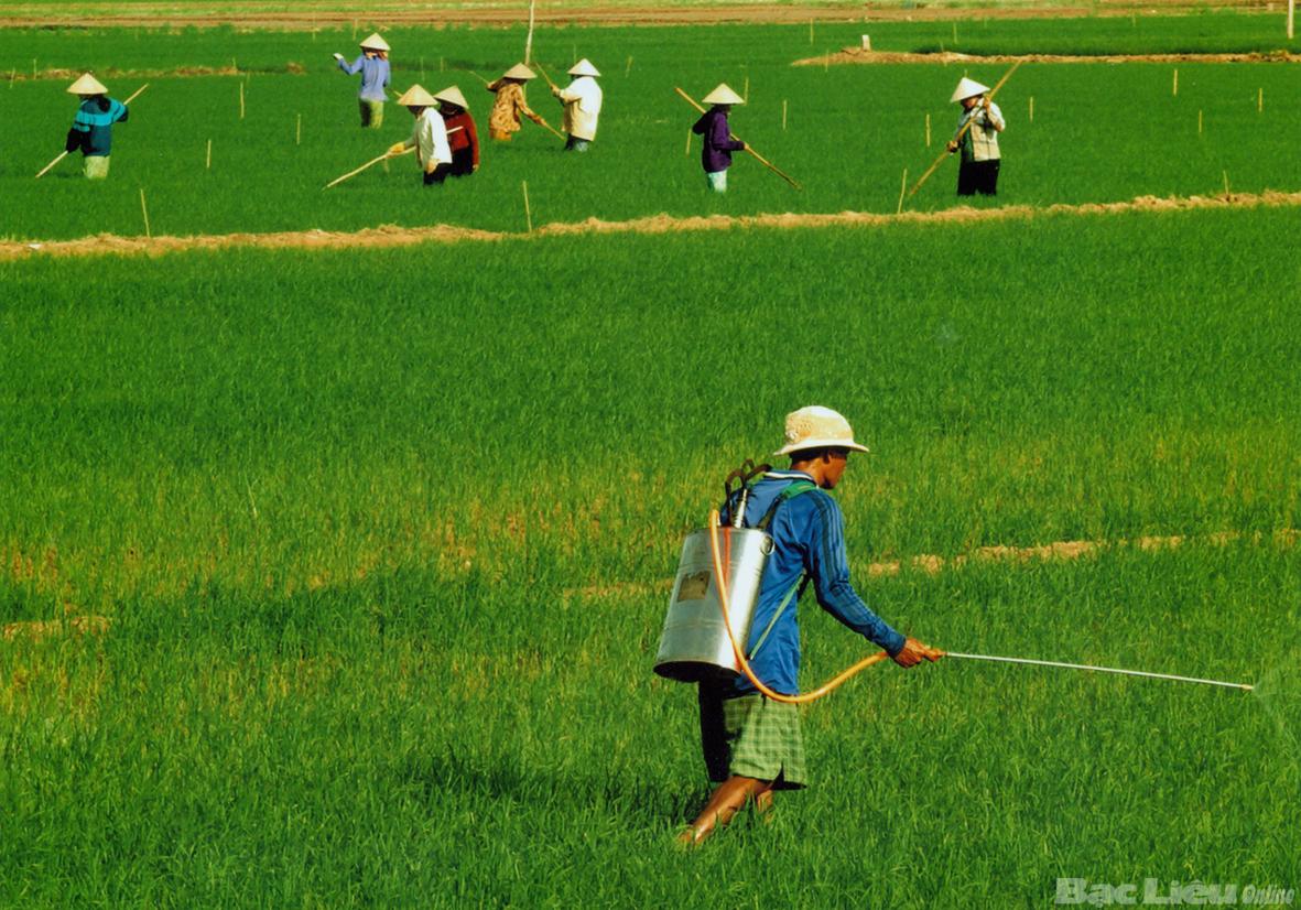 Peranan Himpunan Tani dalam membangun pedesaan baru.