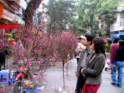 Lagu-lagu tentang musim Semi di Vietnam