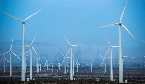 Vietnam desarrolla la economía verde en el enfrentamiento al cambio climático