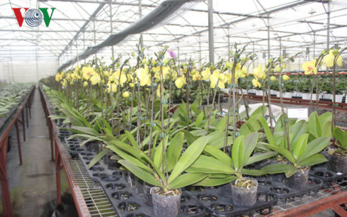 Vietnam promueve la alta tecnología agraria ante las amenazas del cambio climático