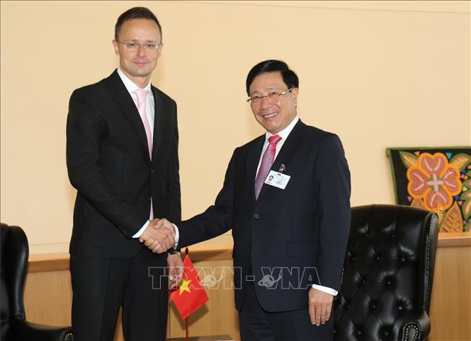 Vietnam cumplirá compromisos multilaterales, afirma canciller